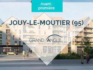Vignette_jouy_le_moutier_grand_angle